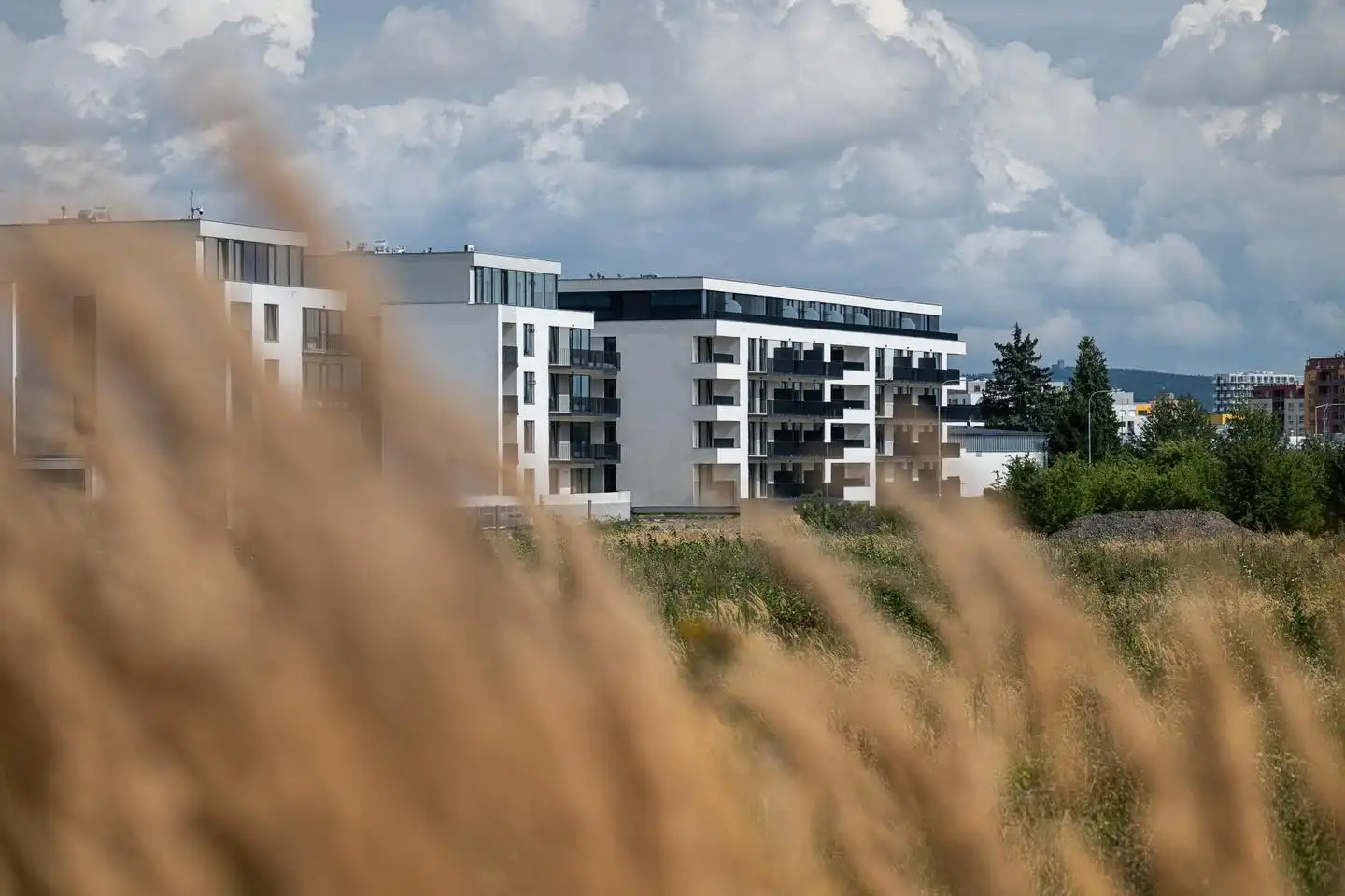 Building D - Exterior View